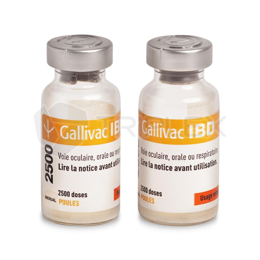 Галливак IBD (Gallivac IBD)