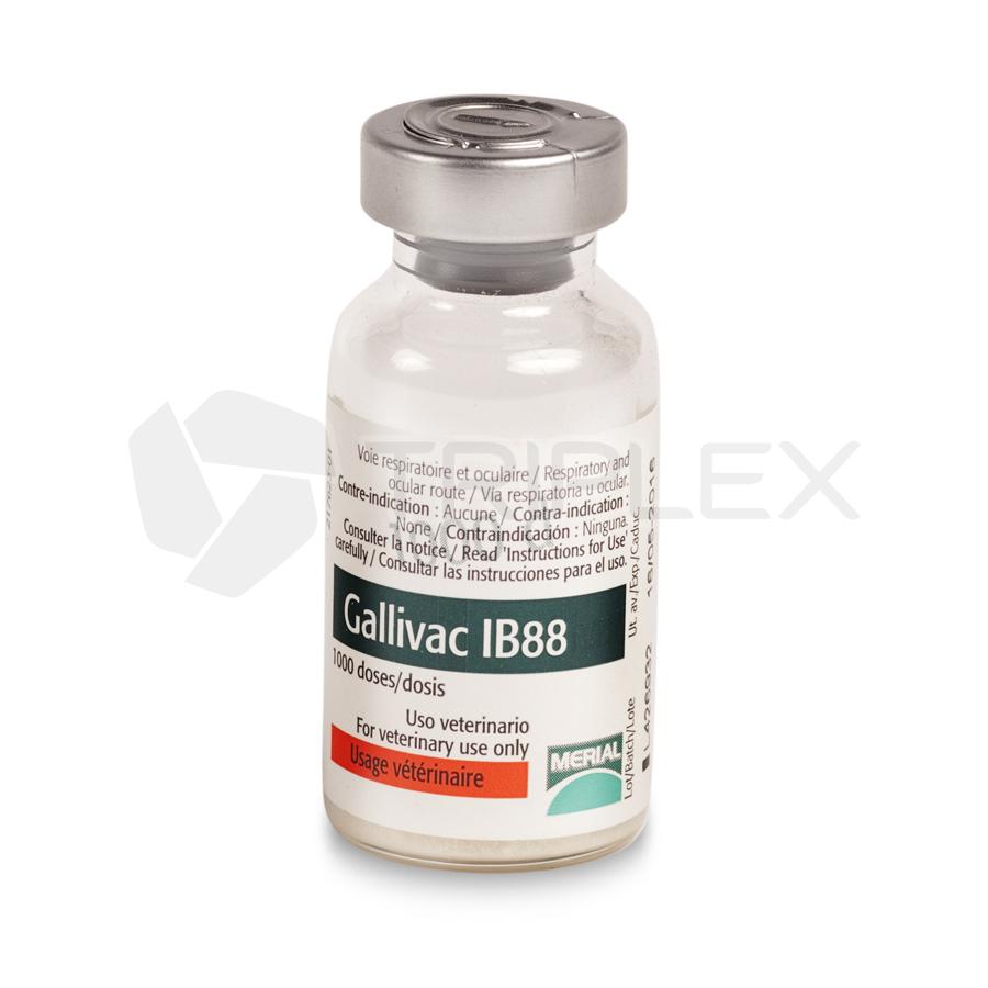 Галливак IВ 88 (Gallivac IВ 88)